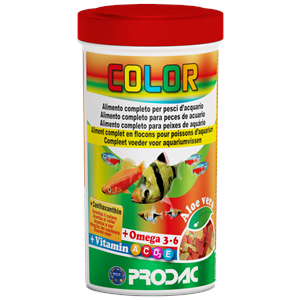 PRODAC-COLOR 250ML/50GR