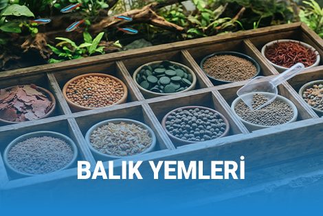 Aquario Akvaryum Difüzörleri