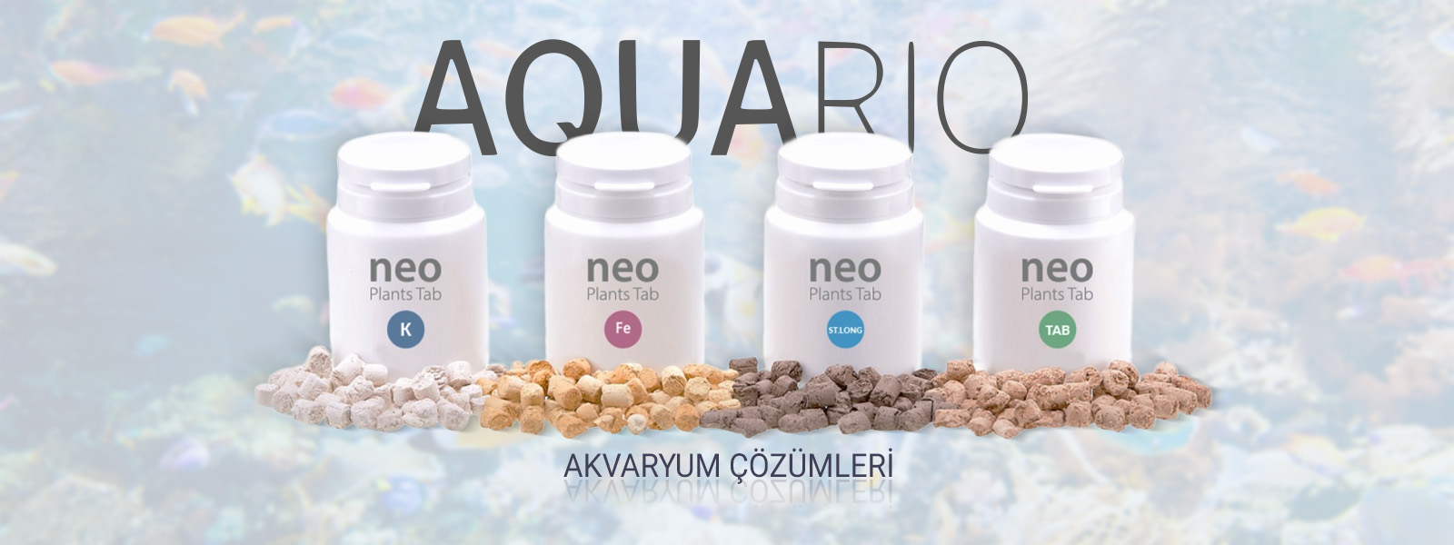 Aquario Akvaryum Ürünleri Resmi Türkiye Distribütörü